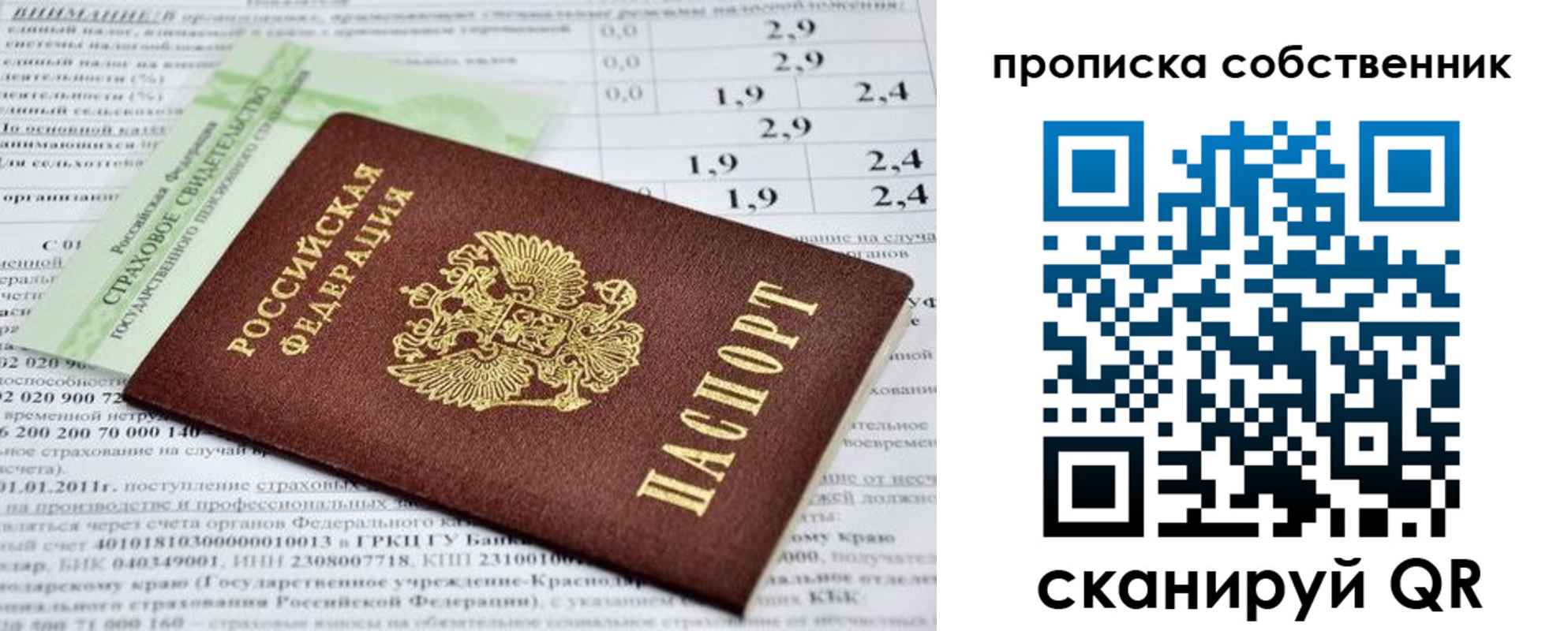 прописка 2025 в Нелидово